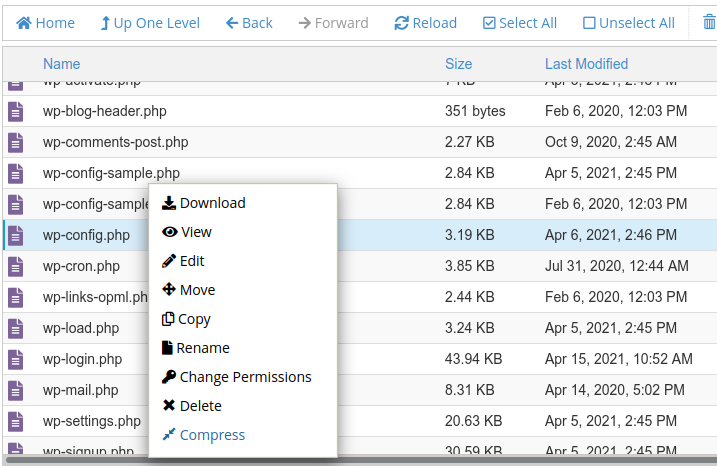 mengaktifkan mode debug wordpress