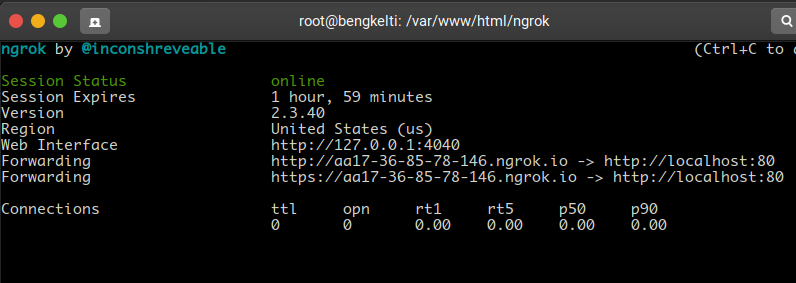 cara-port-fowarding-localhost