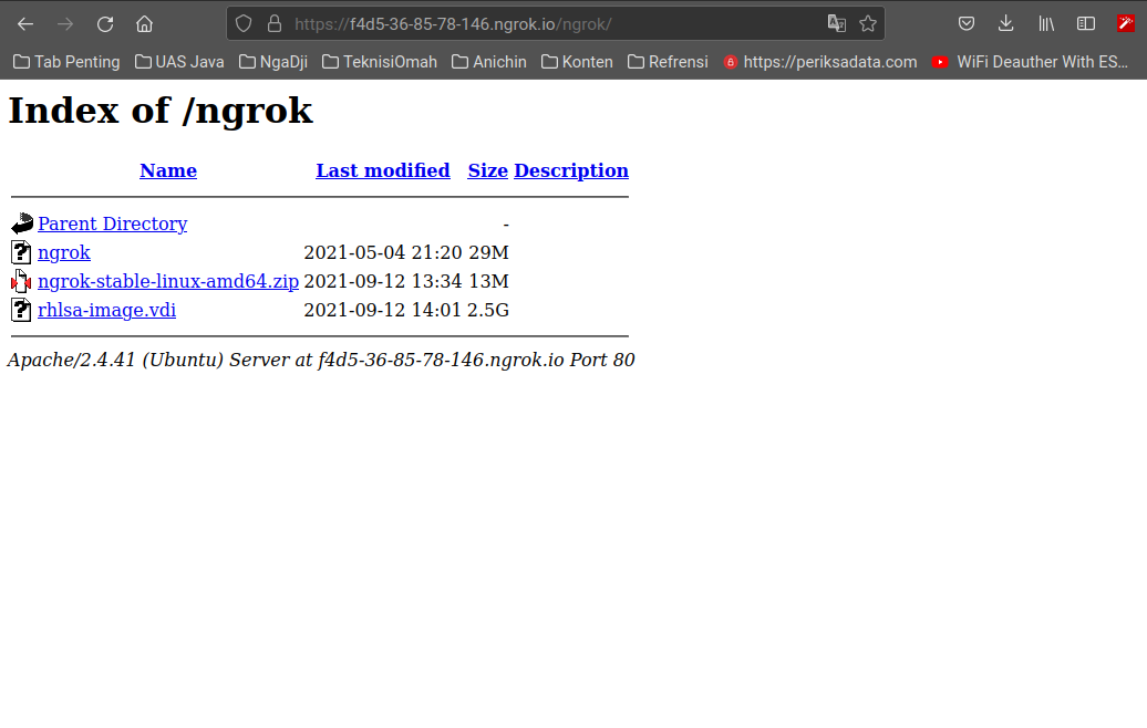 port-fowarding-ngrok
