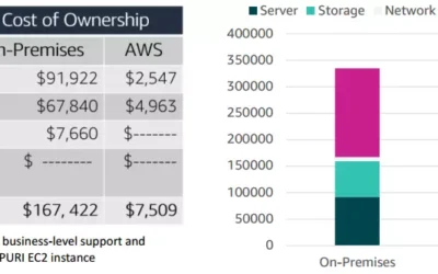 Total Cost of Ownership AWS : AWS Cloud Economics dan Billing