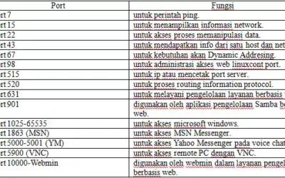 Macam-Macam Port dan Penjelasannya Secara Detail