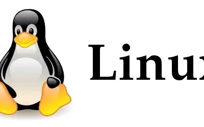 Cara Membuat User Baru di Linux (Useradd Command)
